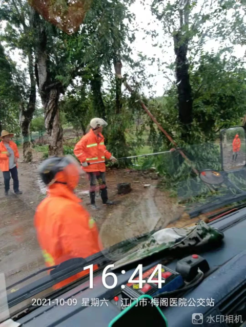 清除公路两旁倾倒树木.jpg 图片