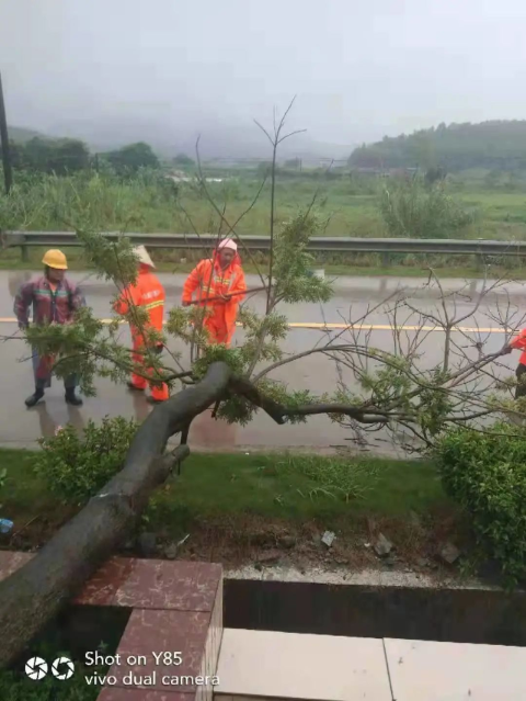 4abcf839d0aaca680b4d17d3f977394.jpg 图片