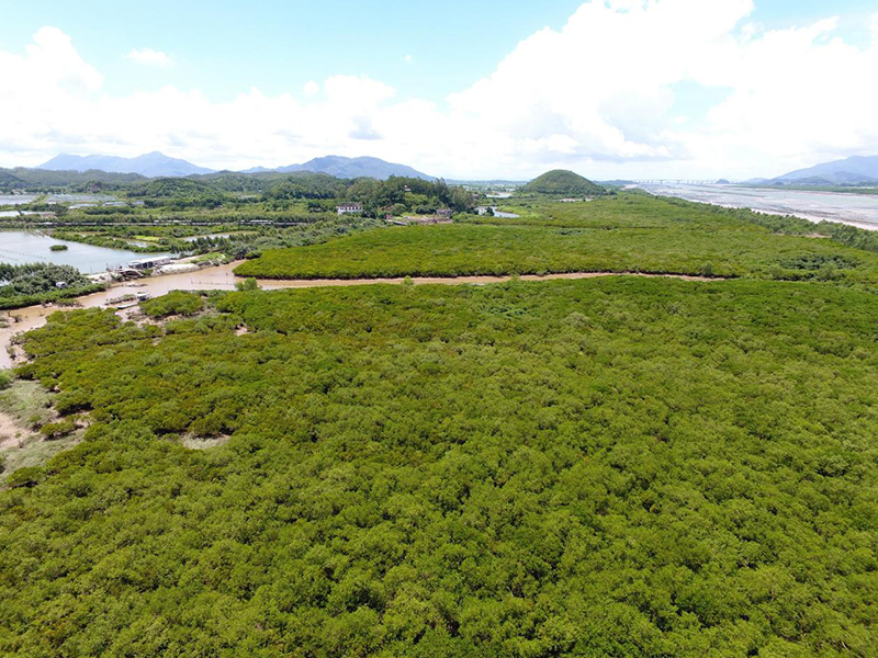 220121让我们行动起来,保护湿地就是保护地球和人类的未来! (2).jpg