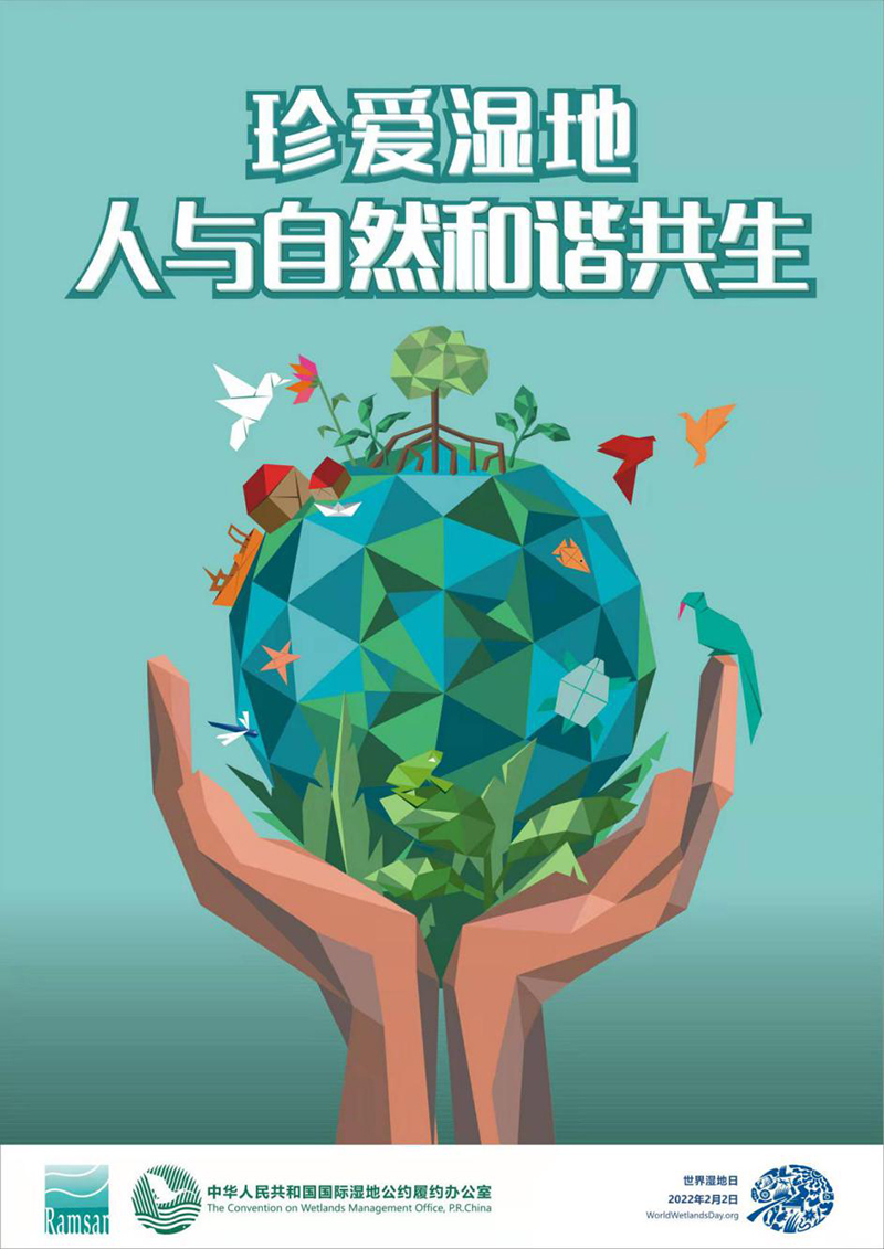 220121让我们行动起来,保护湿地就是保护地球和人类的未来! (4).jpg