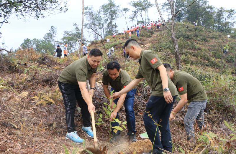 250314江门市开展2025年全省推进绿美广东生态建设暨五级林长植树活动 (5).png